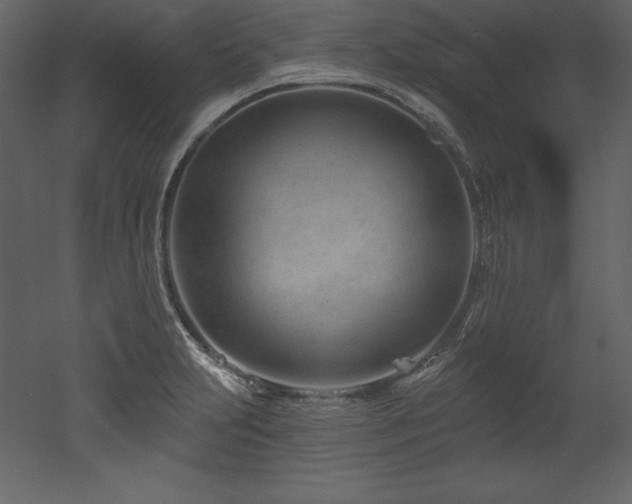 X0000053021231200507081317
