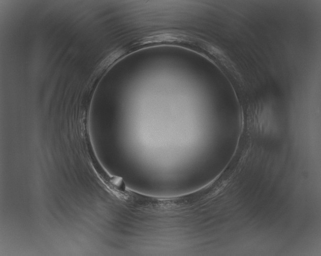 X0000053021233200507081317