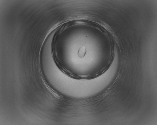 X0000053021234200507081317