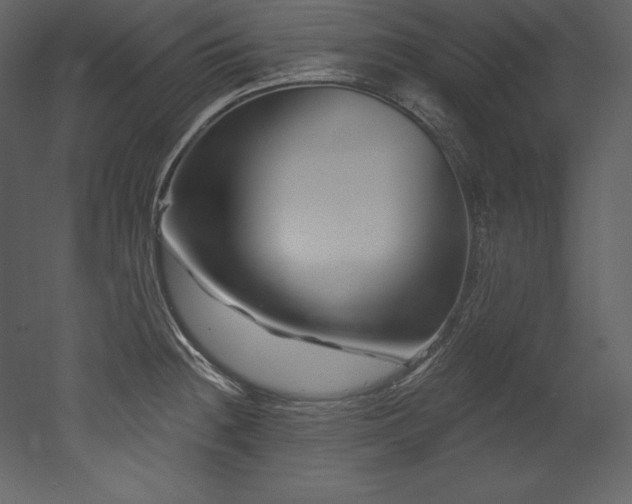 X0000053021236200507081317
