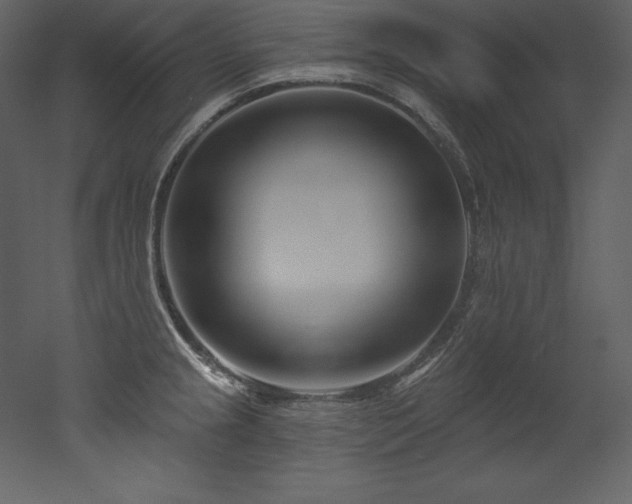 X0000053021237200507081317