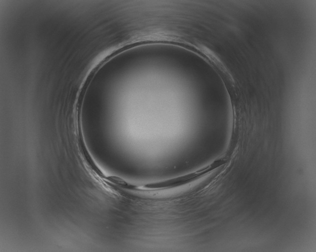 X0000053021238200507081317