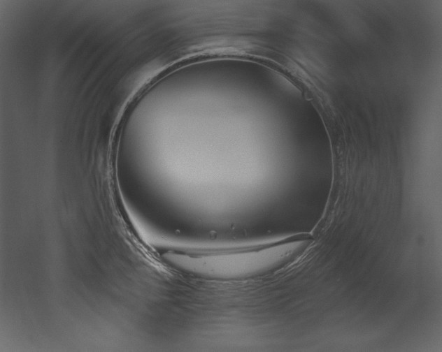 X0000053021240200507081317