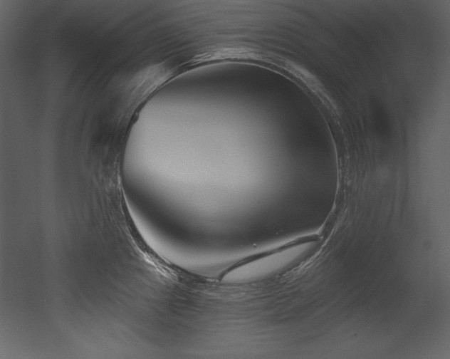 X0000053021241200507081317