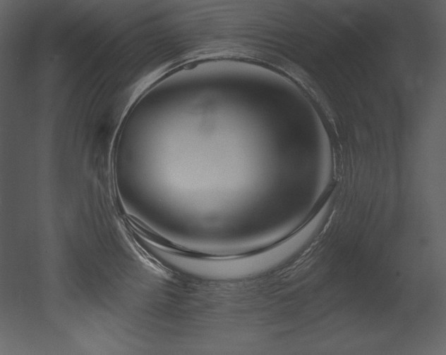 X0000053021242200507081317