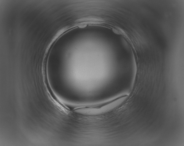 X0000053021243200507081317