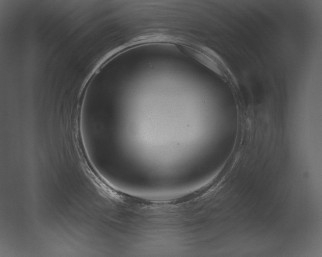X0000053021244200507081317