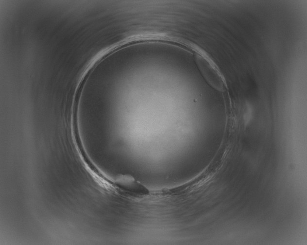 X0000053021245200507081317