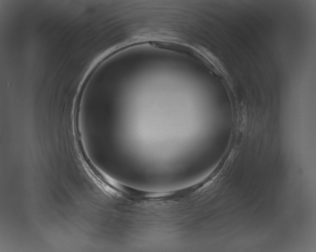 X0000053021246200507081317