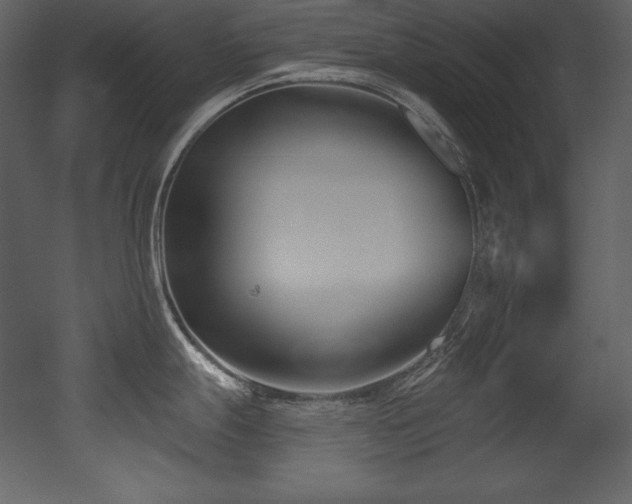 X0000053021247200507081318