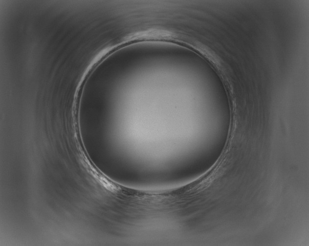 X0000053021248200507081318