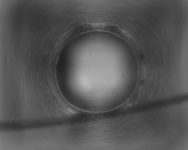 X0000053021249200507081317
