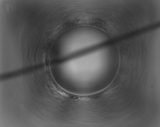 X0000053021250200507081317
