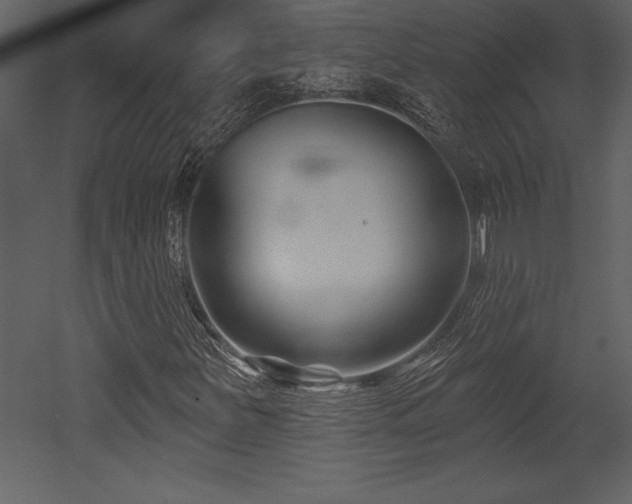 X0000053021251200507081317