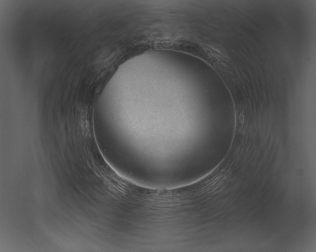 X0000053021252200507081317
