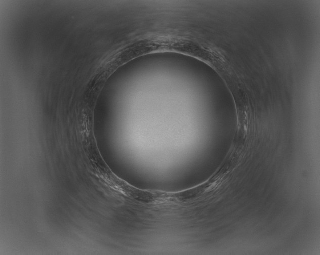 X0000053021253200507081317