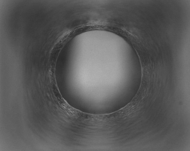 X0000053021254200507081317