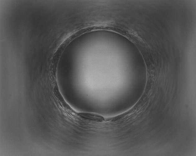 X0000053021256200507081317