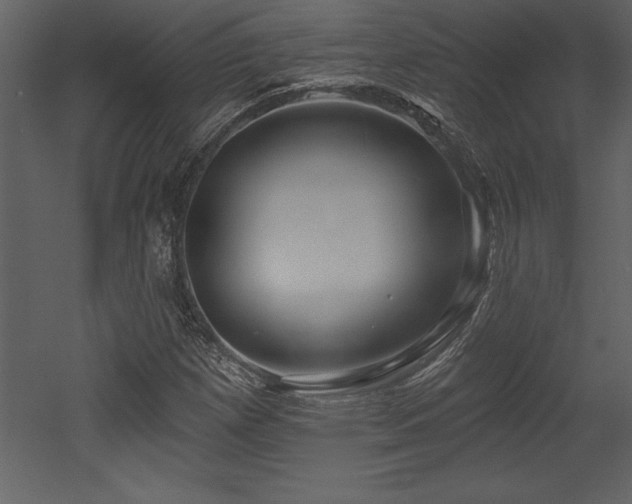 X0000053021257200507081317