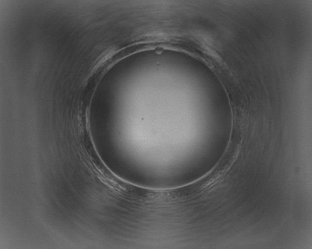 X0000053021259200507081317