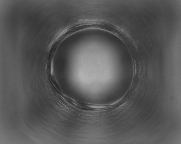 X0000053021261200507081317