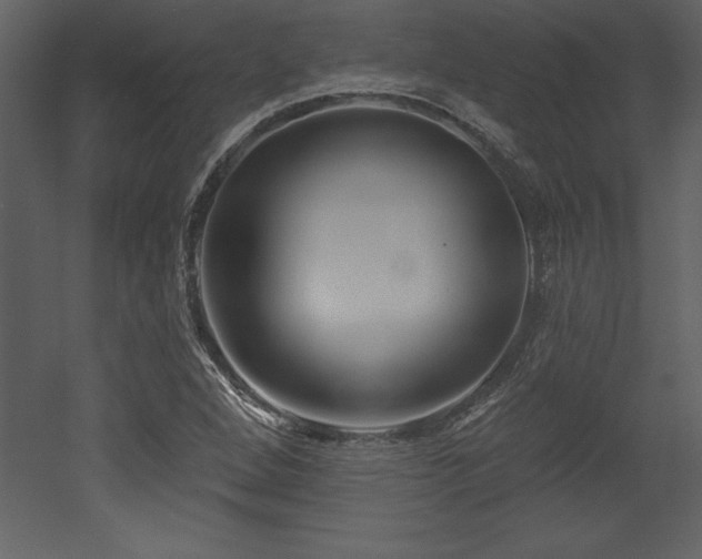 X0000053021264200507081316