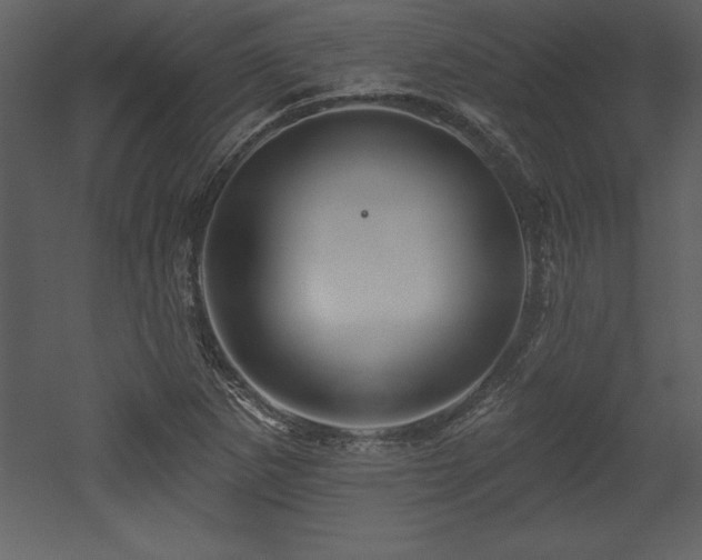 X0000053021265200507081316