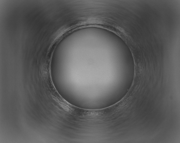 X0000053021266200507081316