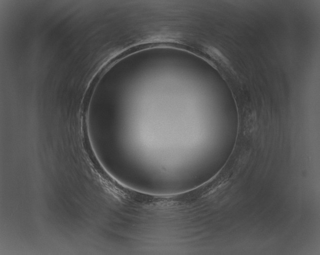 X0000053021268200507081316