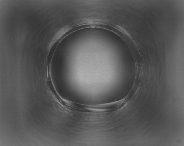X0000053021269200507081316