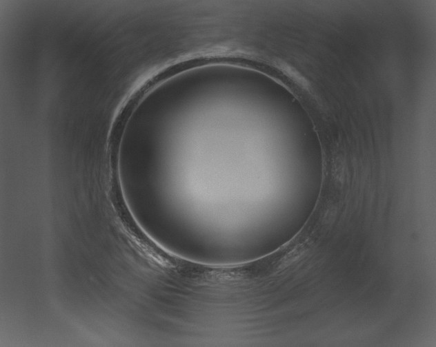 X0000053021270200507081316