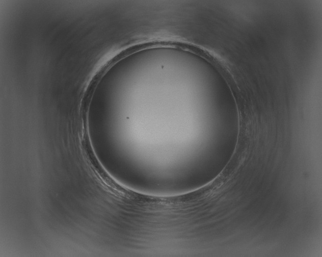 X0000053021271200507081316