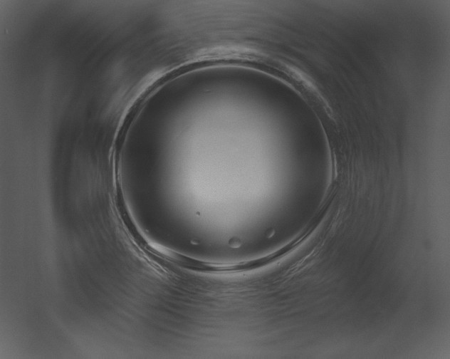 X0000053021275200507081316