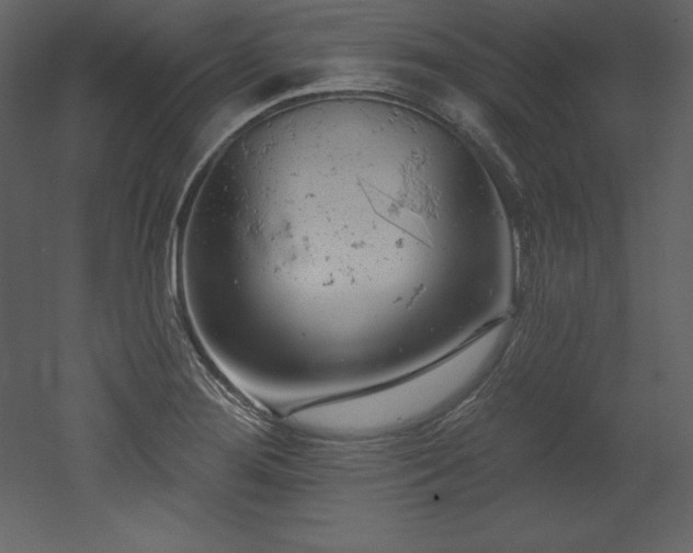 X0000053021276200507081316