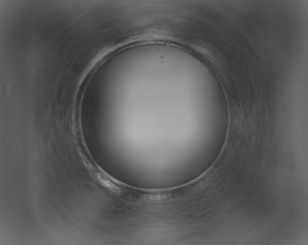 X0000053021278200507081316