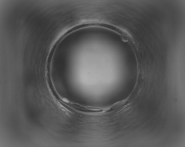 X0000053021279200507081316