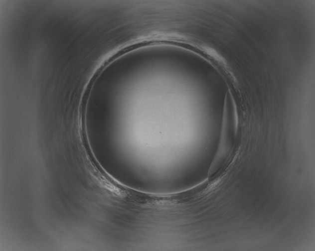 X0000053021280200507081316