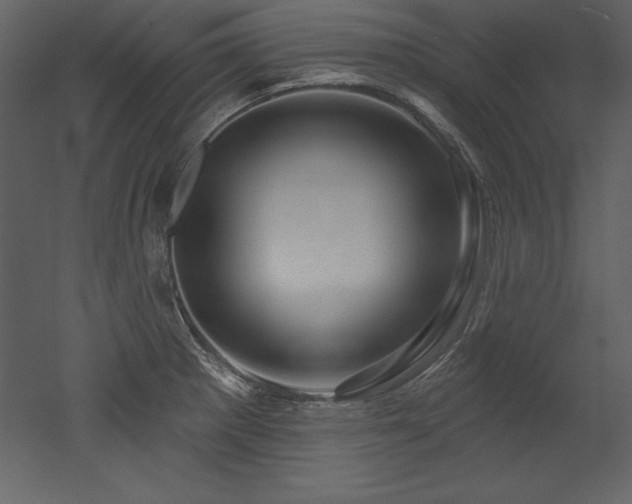 X0000053021281200507081316