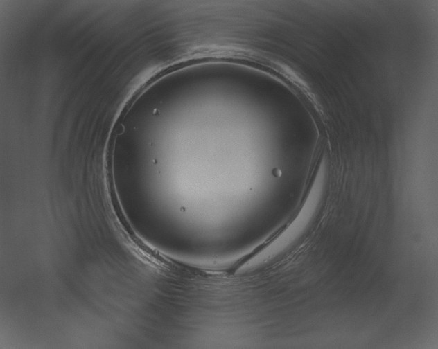 X0000053021283200507081316