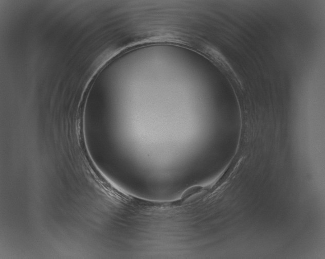 X0000053021284200507081316
