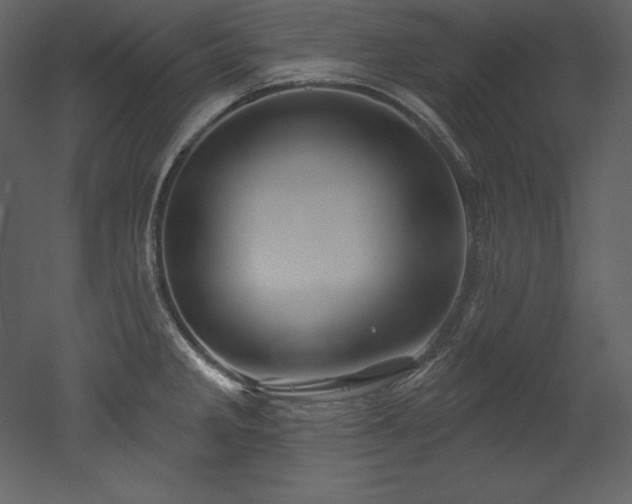 X0000053021285200507081316
