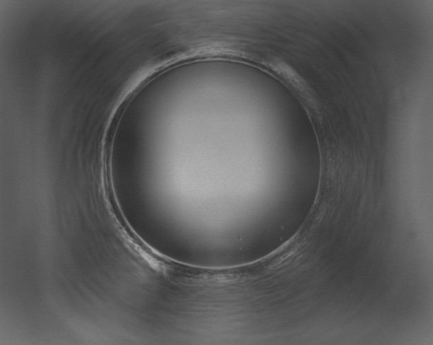 X0000053021286200507081316