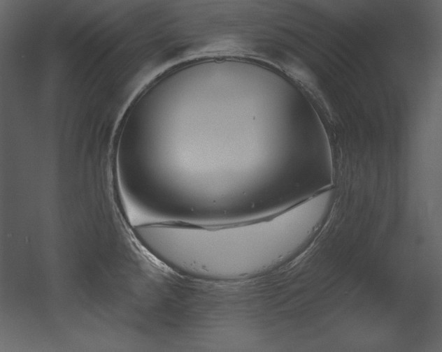 X0000053021288200507081316