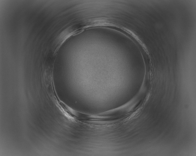 X0000053021289200507081316
