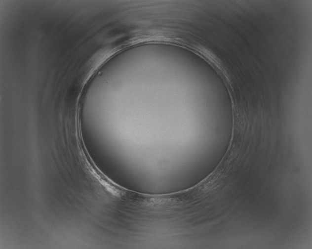 X0000053021290200507081316