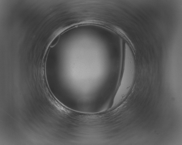 X0000053021292200507081316