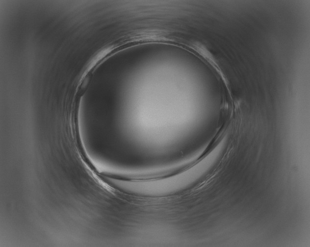 X0000053021293200507081316