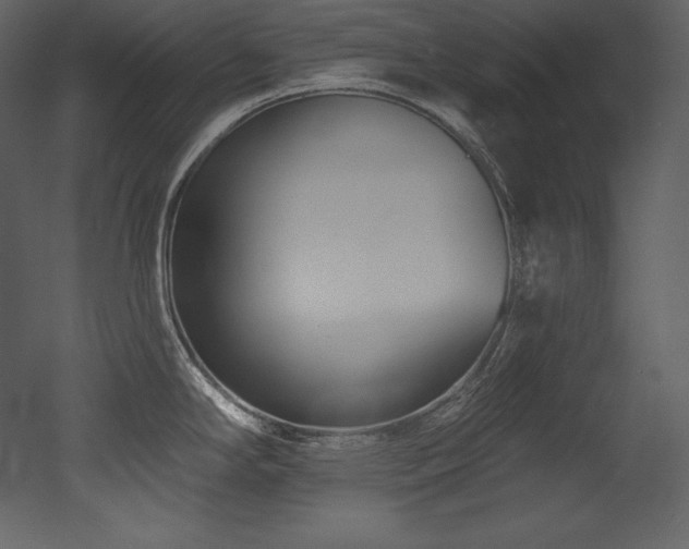 X0000053021294200507081316