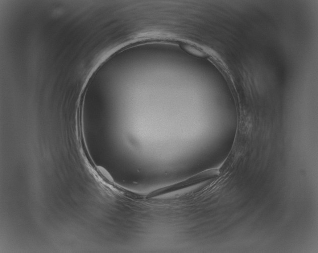 X0000053021295200507081316