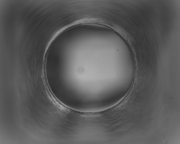 X0000053021296200507081316